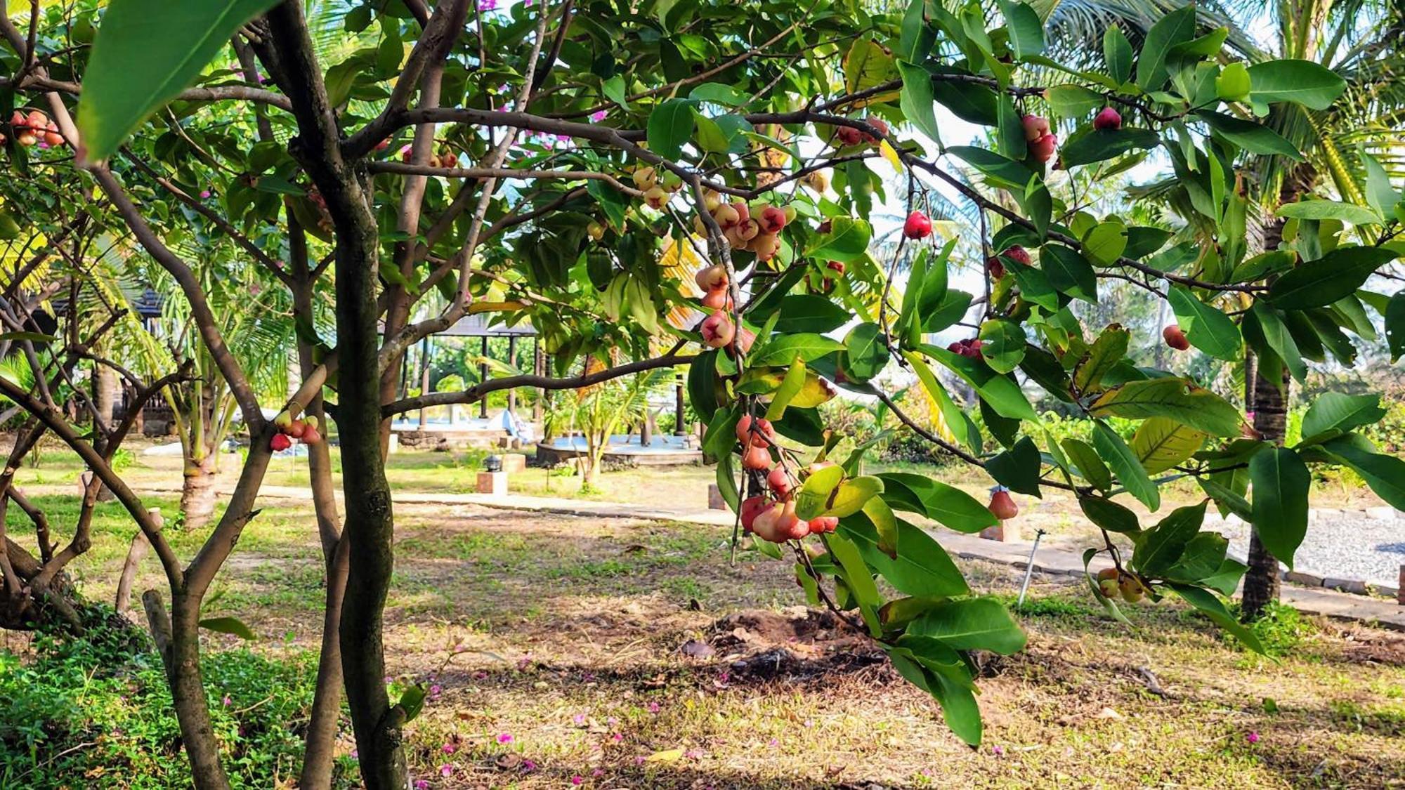 Zen Resort - Villa Beach- Garden Xom Tram ภายนอก รูปภาพ
