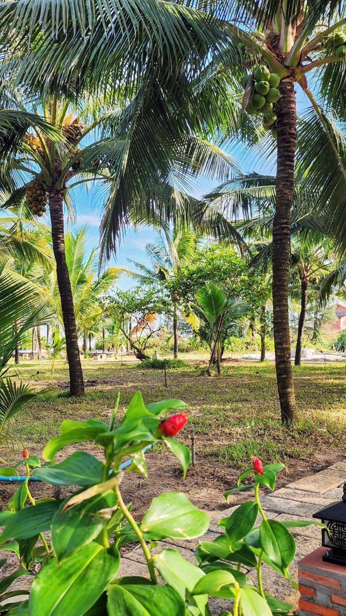 Zen Resort - Villa Beach- Garden Xom Tram ภายนอก รูปภาพ